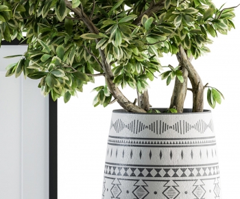 Modern Potted Green Plant-ID:255877022