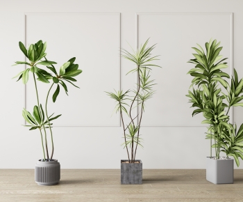 Modern Potted Green Plant-ID:970149047