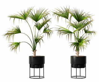Modern Potted Green Plant-ID:892868047