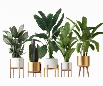 Modern Potted Green Plant-ID:598284019