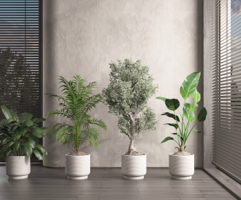Modern Potted Green Plant-ID:823350917