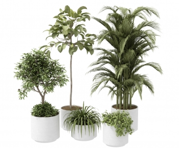 Modern Potted Green Plant-ID:731302023