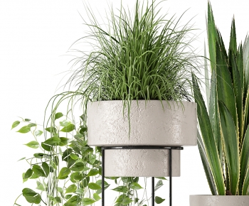 Modern Potted Green Plant-ID:320319899