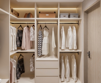 Modern Clothes Storage Area-ID:175151114