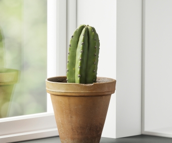 Modern Potted Green Plant-ID:270593883