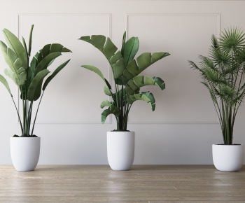 Modern Potted Green Plant-ID:642850412