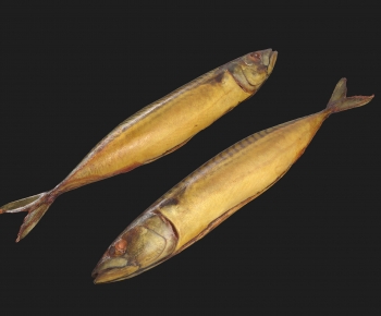 现代鱼 熏鱼 海鲜-ID:772825001
