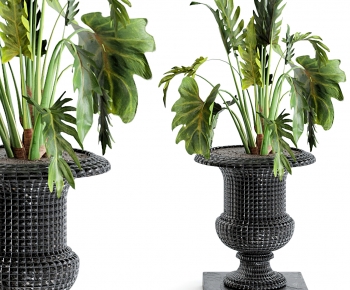 Modern Potted Green Plant-ID:567575934