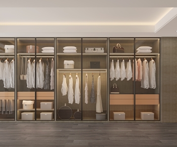 Modern Clothes Storage Area-ID:876533036