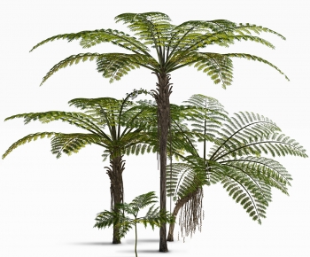 现代热带植物树-ID:387746105
