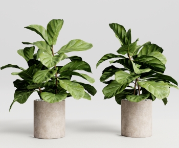 Modern Potted Green Plant-ID:598223924