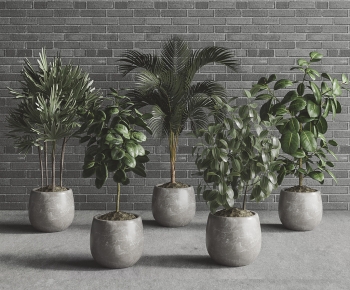 Modern Potted Green Plant-ID:303369057