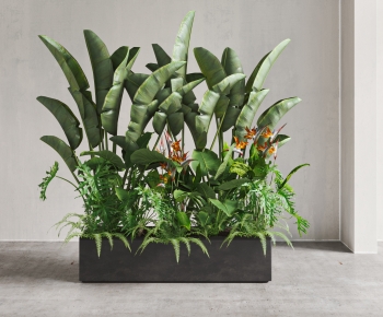 Modern Potted Green Plant-ID:282558929