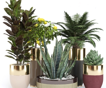 Modern Potted Green Plant-ID:703669075