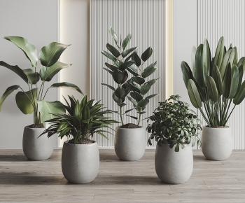 Modern Potted Green Plant-ID:848911052