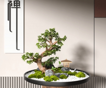 新中式苔藓盆栽-ID:487796079