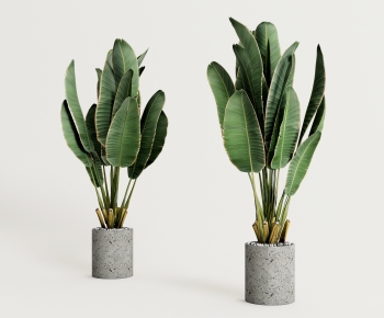 Modern Potted Green Plant-ID:108409885