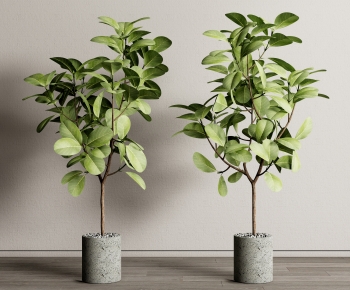Modern Potted Green Plant-ID:940346005