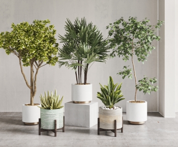 Modern Potted Green Plant-ID:204061037
