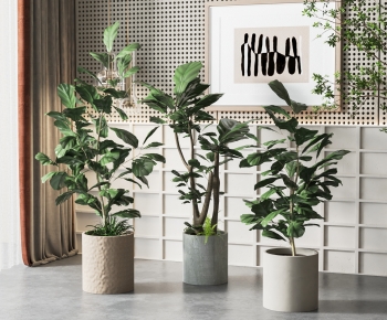 Modern Potted Green Plant-ID:725419541