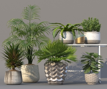 Modern Potted Green Plant-ID:849039088