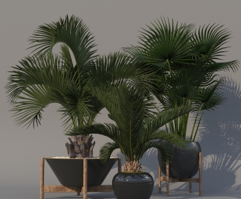 Modern Potted Green Plant-ID:268445979
