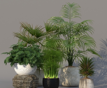 Modern Potted Green Plant-ID:751257908