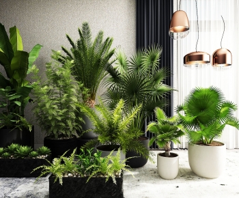 Modern Potted Green Plant-ID:609010937