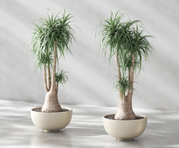 Modern Potted Green Plant-ID:657716049
