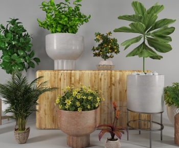 Modern Potted Green Plant-ID:103828915