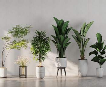 Modern Potted Green Plant-ID:968480115