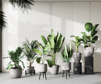 Modern Potted Green Plant-ID:503005037