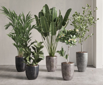 Modern Potted Green Plant-ID:608499057