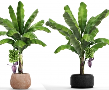 Modern Potted Green Plant-ID:192545896