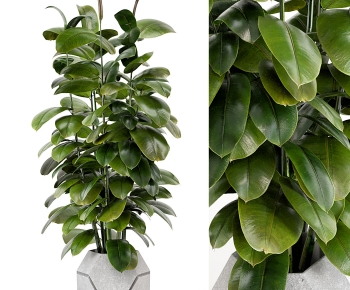 Modern Potted Green Plant-ID:490453004