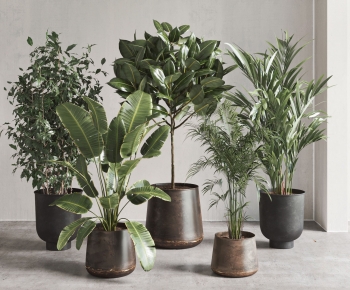 Modern Potted Green Plant-ID:152594093