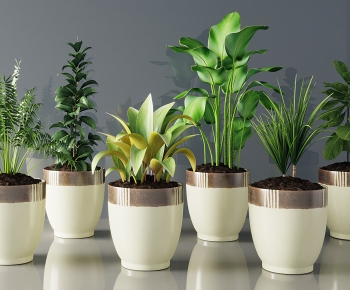 Modern Potted Green Plant-ID:947585119