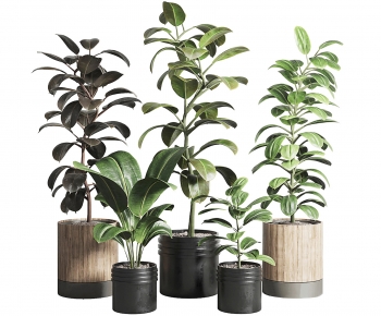 Modern Potted Green Plant-ID:867515094