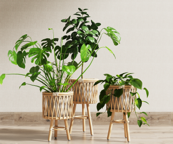 Nordic Style Potted Green Plant-ID:395558126