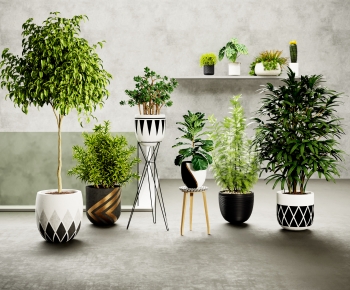 Modern Potted Green Plant-ID:274828911