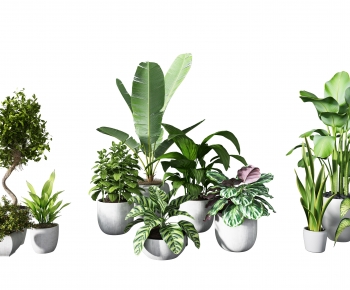 Modern Potted Green Plant-ID:767616033