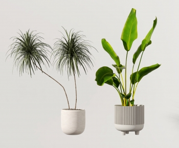 Modern Potted Green Plant-ID:728383063