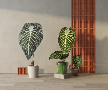 Modern Potted Green Plant-ID:351234917
