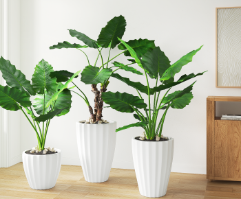 Modern Potted Green Plant-ID:153233055