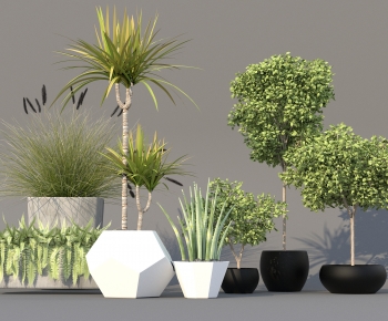 Modern Potted Green Plant-ID:672264107