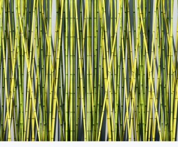  Bamboo-ID:658981082