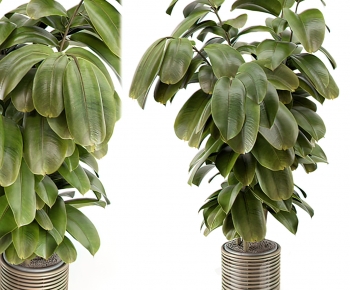 Modern Potted Green Plant-ID:933341983