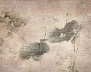 荷花壁纸-ID:5559909