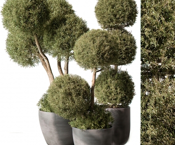 Modern Potted Green Plant-ID:431260111