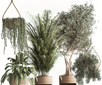 Modern Potted Green Plant-ID:481400012